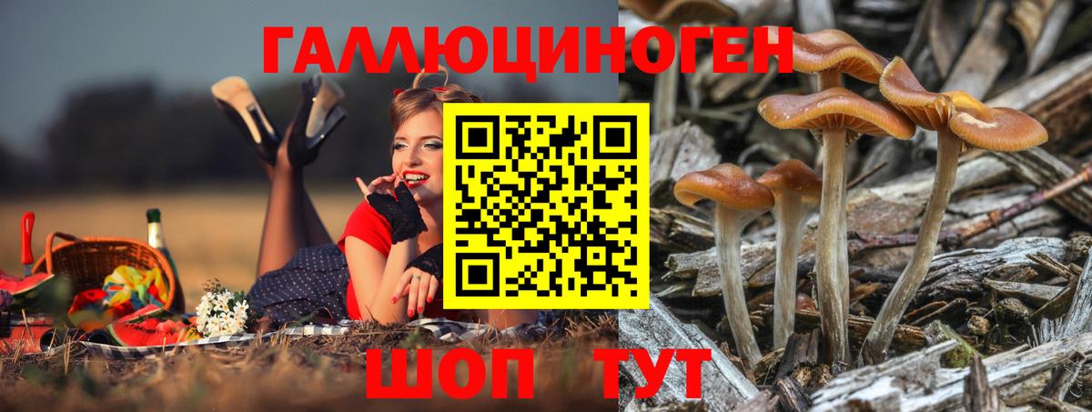 Новосибирск  Псилоцибиновые грибы прущие грибы  Псилоцибиновые грибы прущие грибы  Вход с VPN 